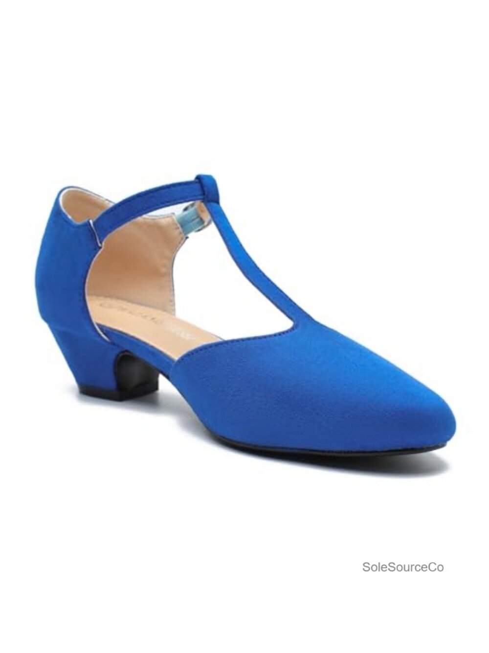Women's T-Strap Mary Jane Pumps Low Block Heel Closed Toe Buckle Ankle Strap - Picture 6 of 6